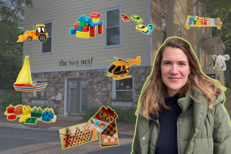 the toy nest falls church