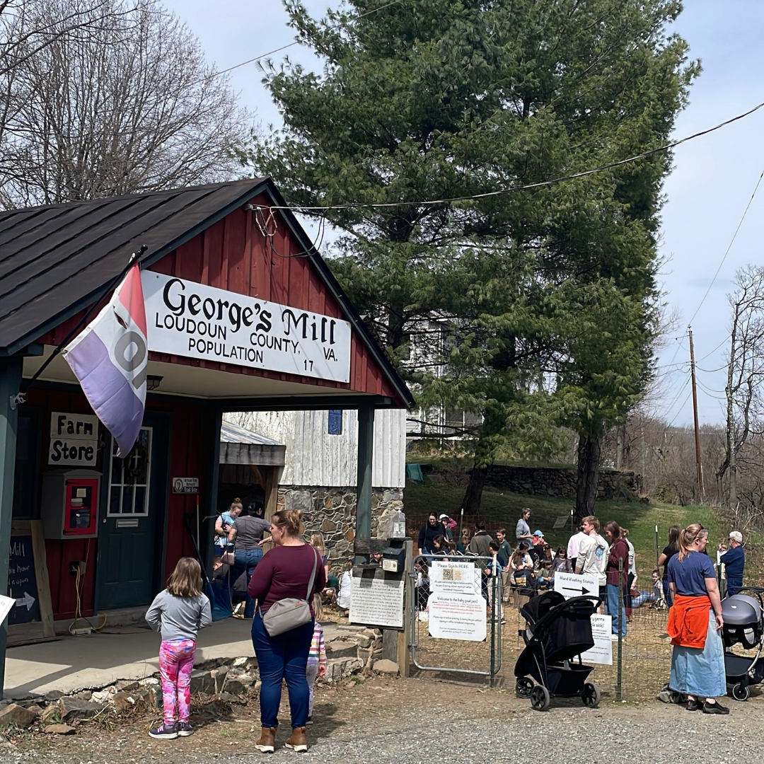 george's mill farm in lovettsville va