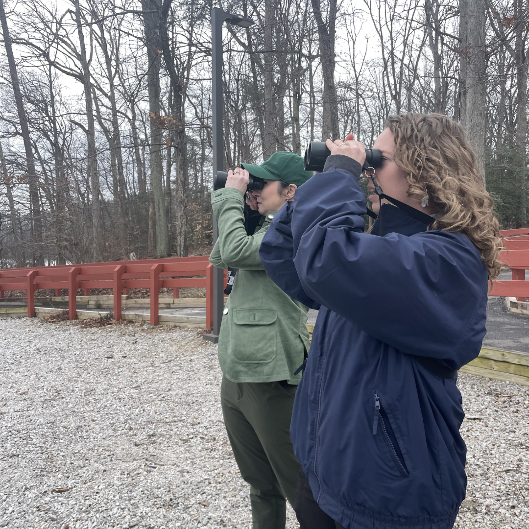 fairfax county parks naturalists 
