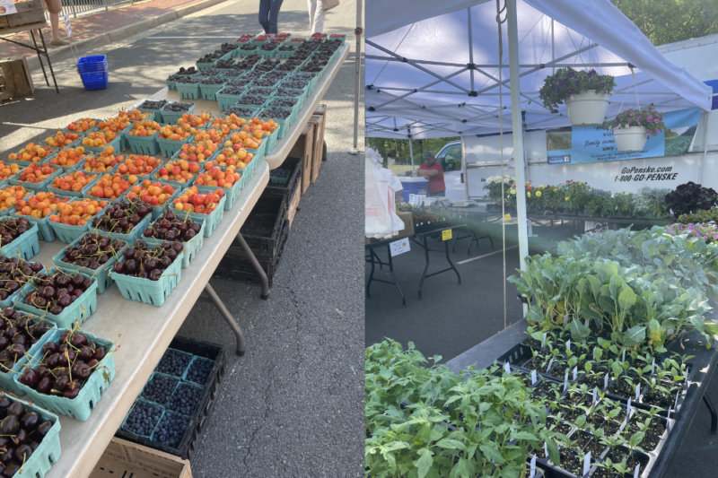 nova farmers markets 2026