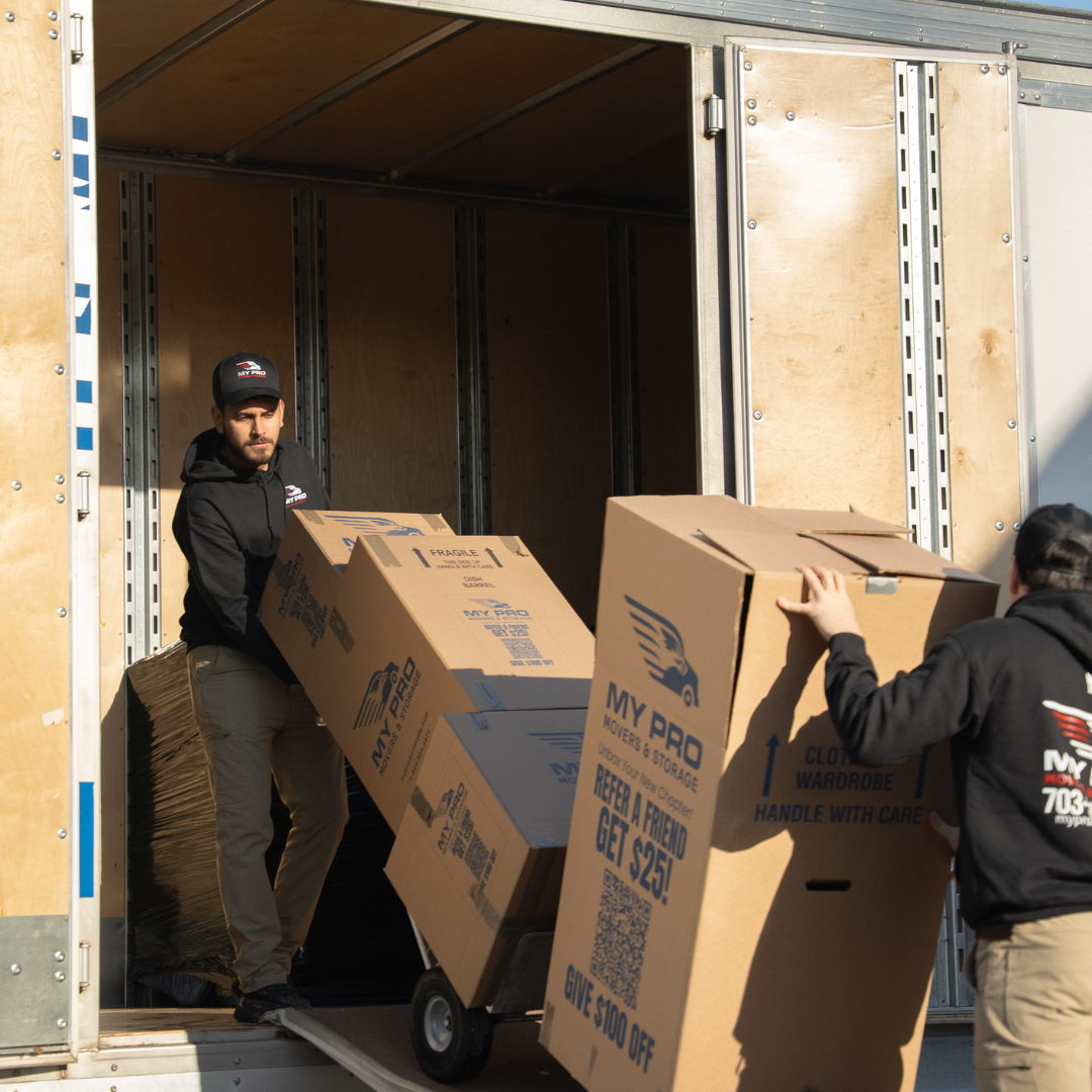 my pro movers 3 