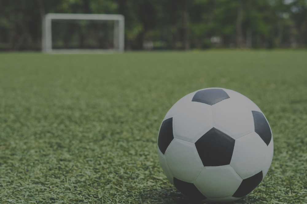 world cup northern virginia