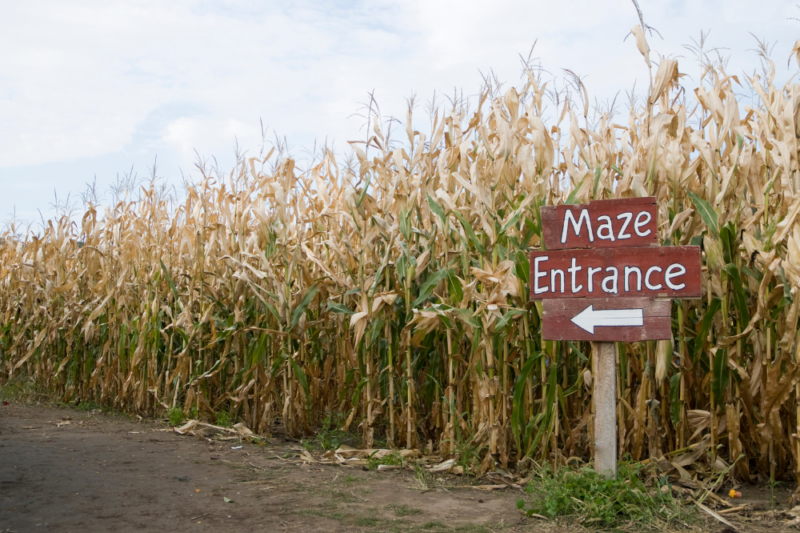 corn maze northern virginia