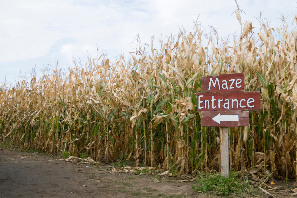 corn maze northern virginia
