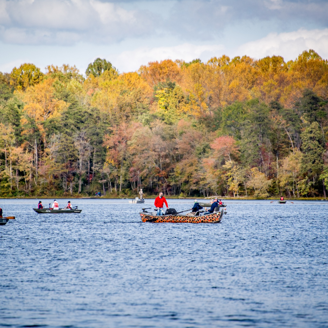 burke lake park_fall leaves