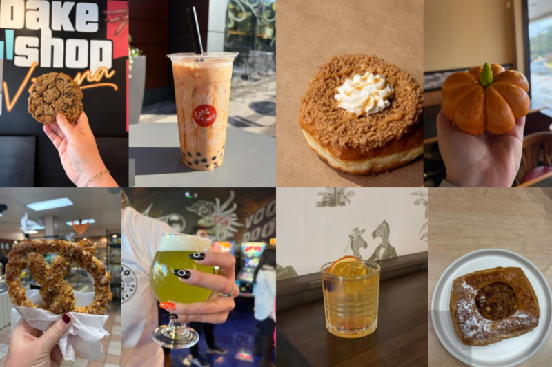 fall treats nova