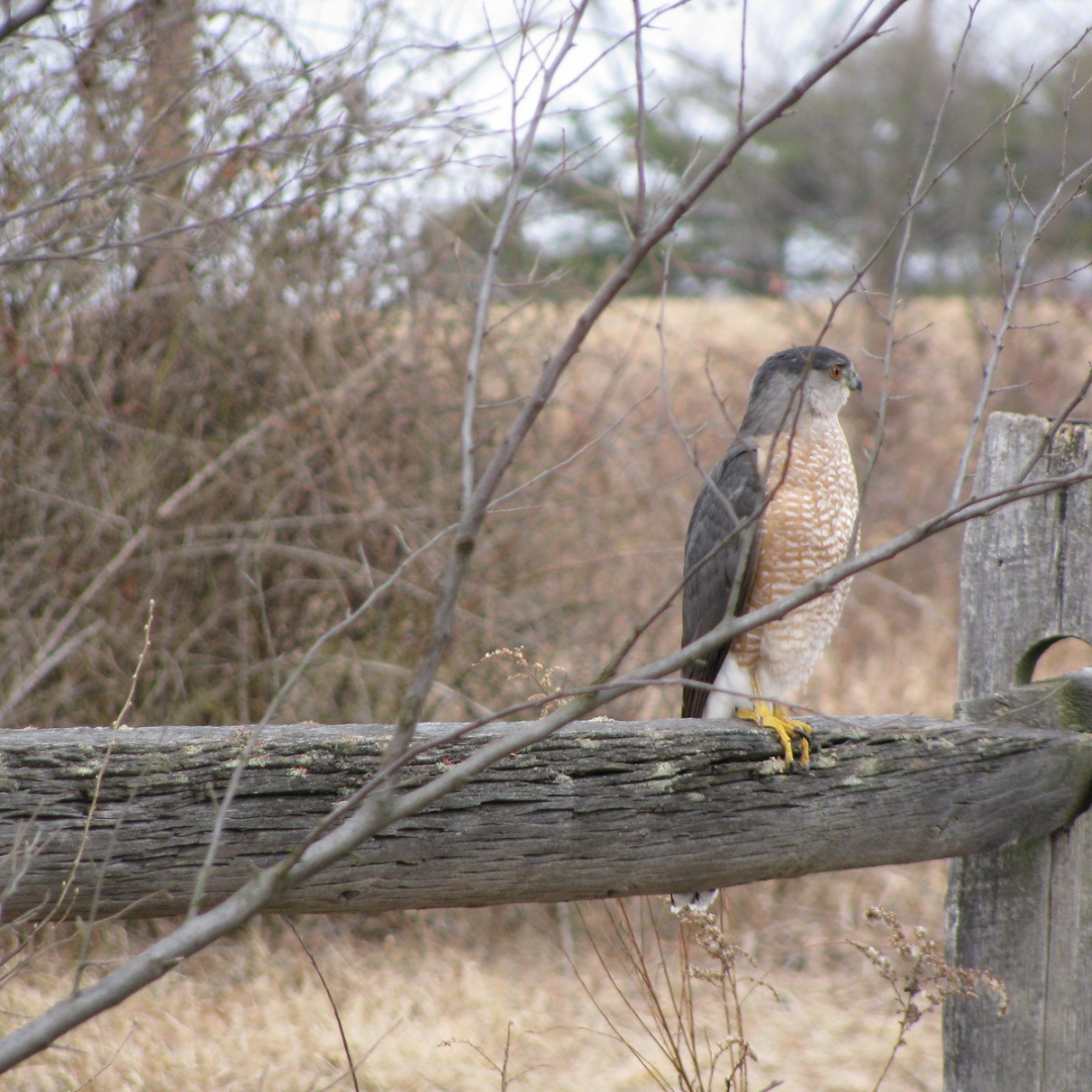 fountainhead_regional_park