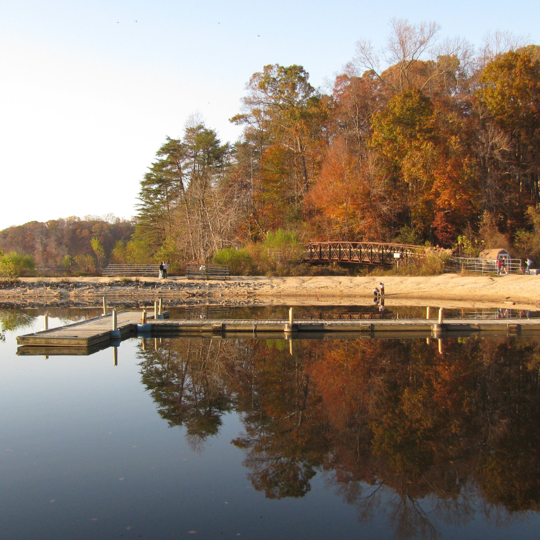 lake accotink fall_credit diana norgaard (1)