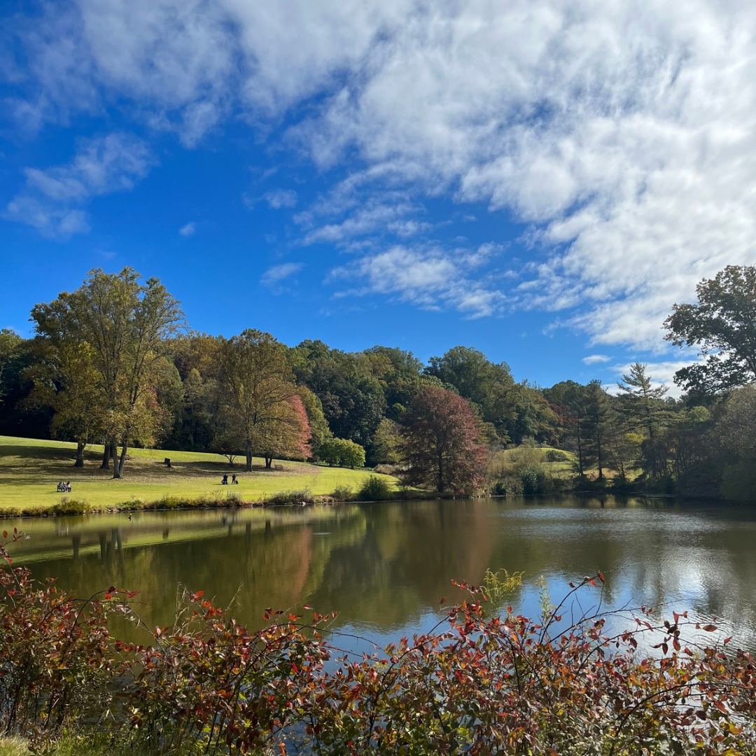 meadowlark gardens (1)