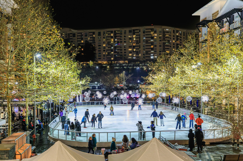 westpost skating NOVA