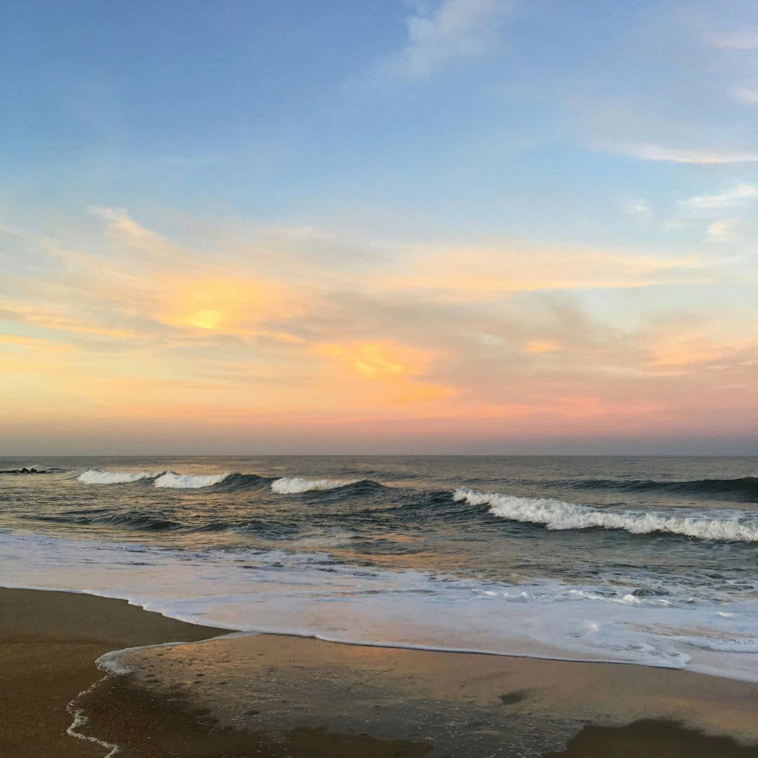 EVERYTHING YOU NEED TO KNOW ABOUT JERSEY SHORE visual data 8