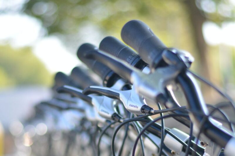 twin lights ride 2023