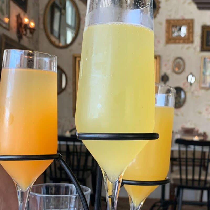 black swan brunch square