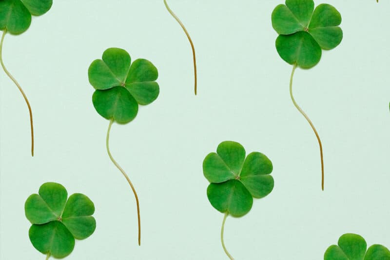 Irish Four Leaf Clover
