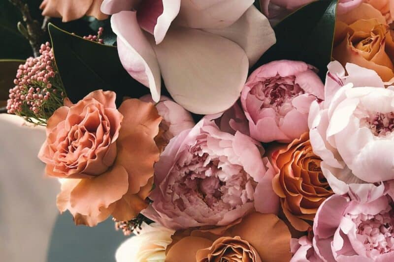 flower events jersey shore