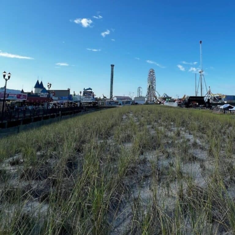 EVERYTHING YOU NEED TO KNOW ABOUT JERSEY SHORE intelligence overview