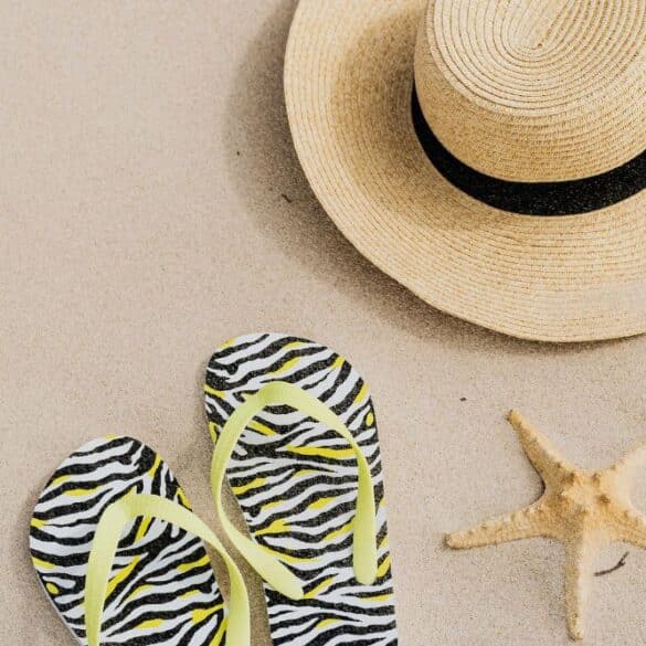 swimsuits guide nj