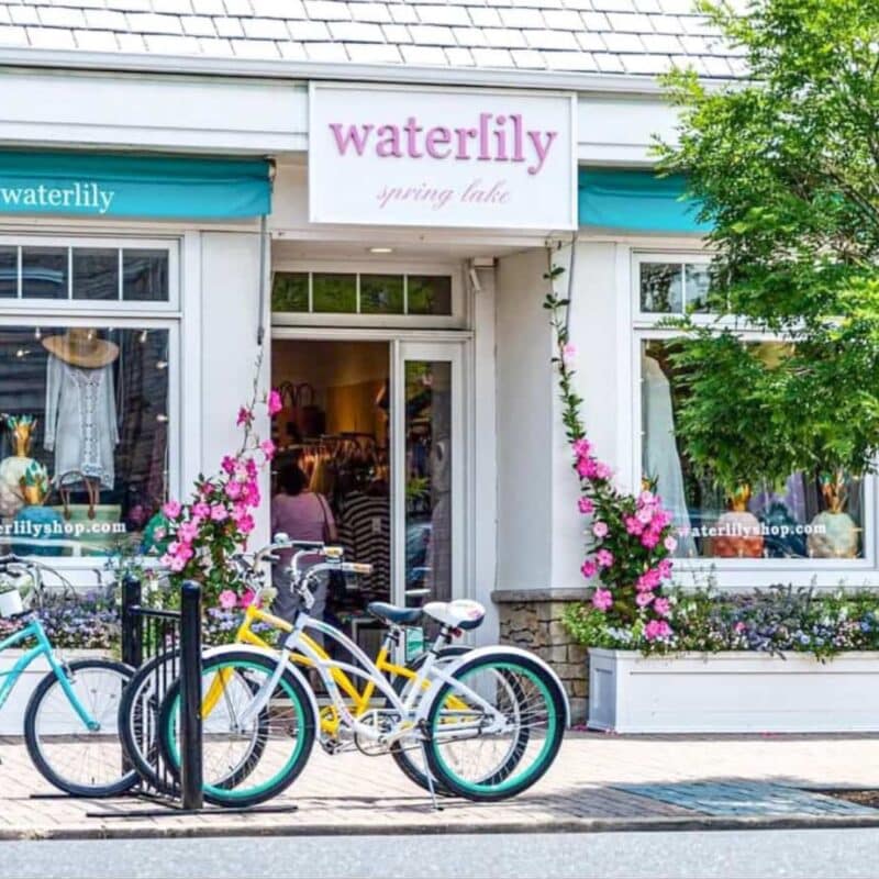 waterlily nj