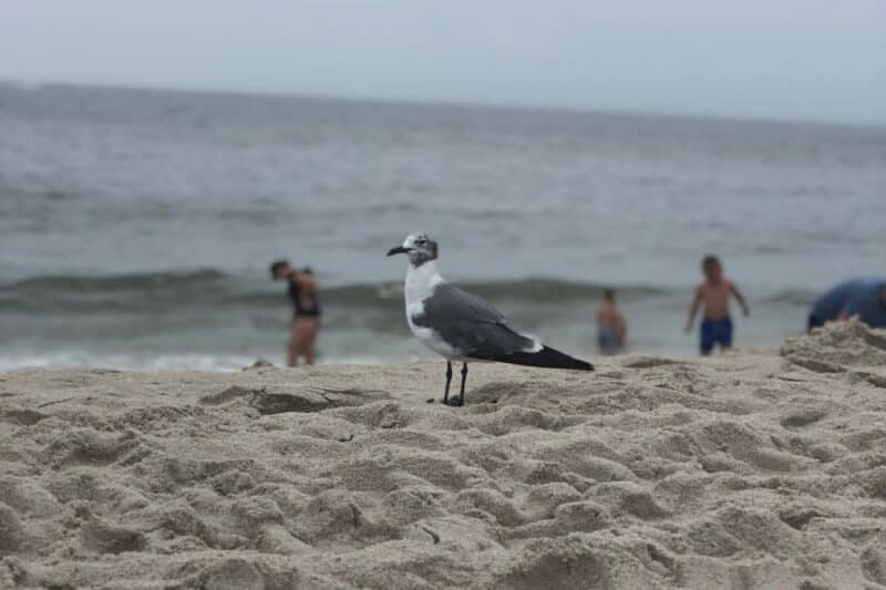 jersey shore events july 18 2025