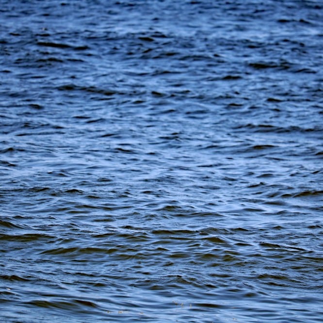 swimming advisories bacteria jersey shore beaches july 2025