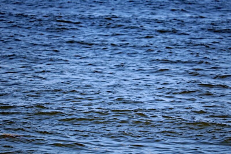 swimming advisories bacteria jersey shore beaches july 2025