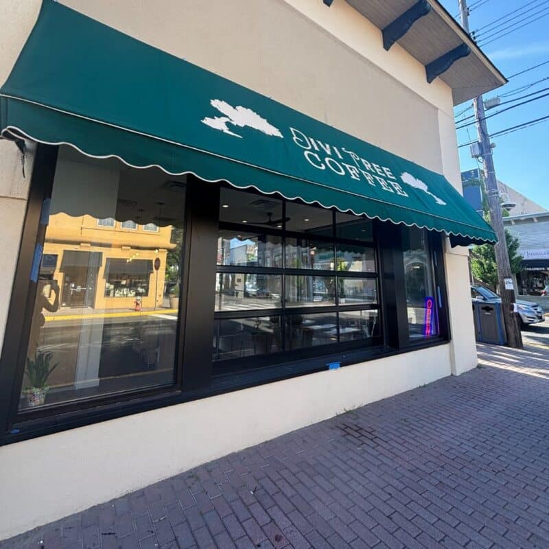 divi tree coffee point pleasant