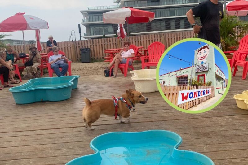 wonder bar yappy hour ending asbury park nj