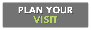 plan your visit