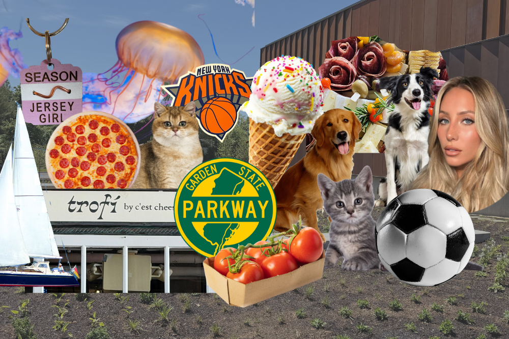 jersey shore news june 15
