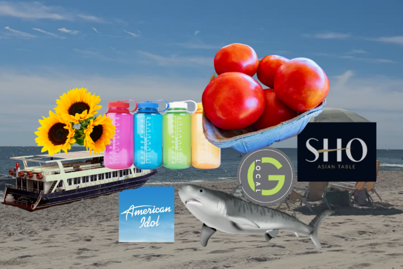 jersey shore news august 17 (1)