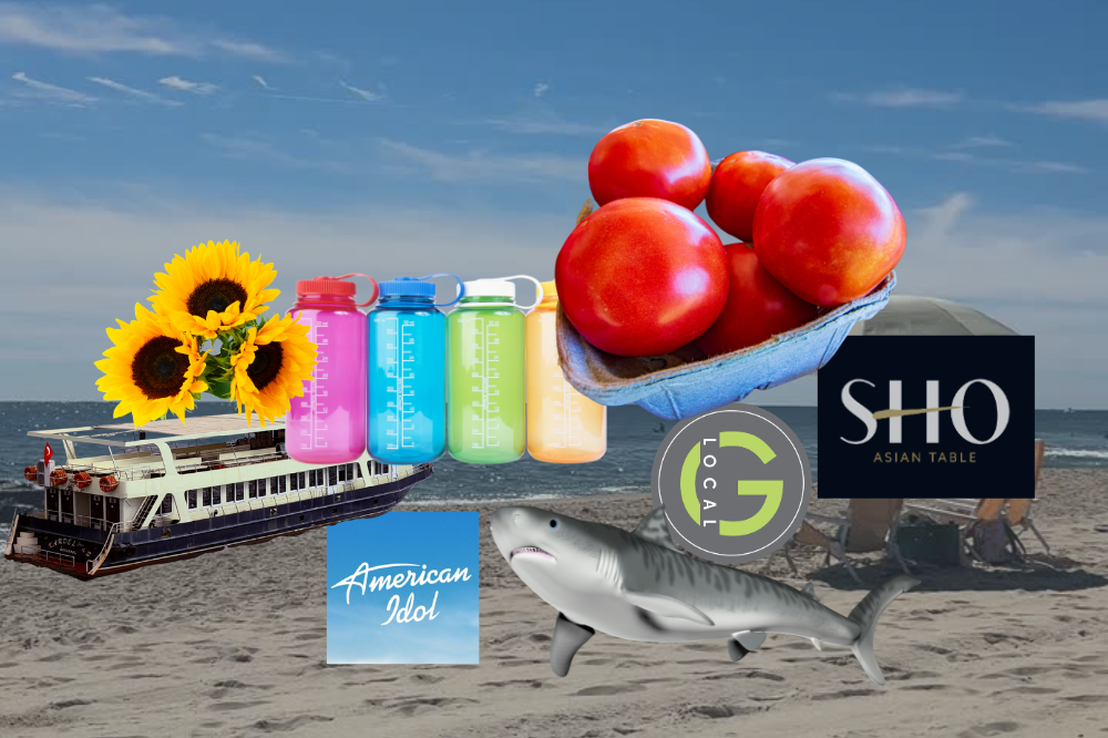 jersey shore news august 17 (1)