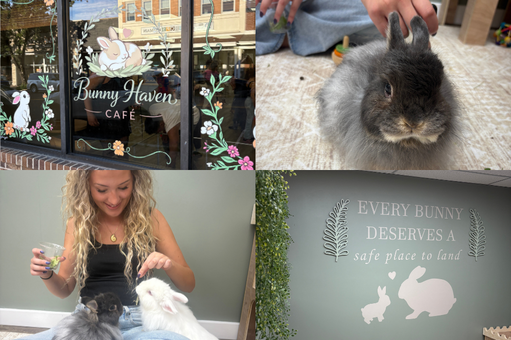 bunny cafe toms river jersey shore nj