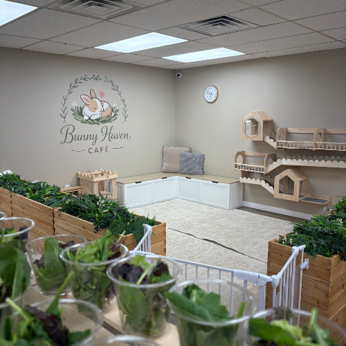 Bunny Haven Cafe Play Area