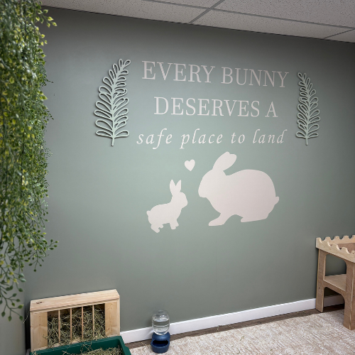Bunny Haven Cafe