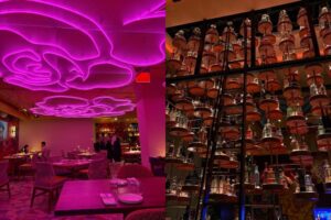 meximodo expanding new jersey parsippany montgomery marlboro