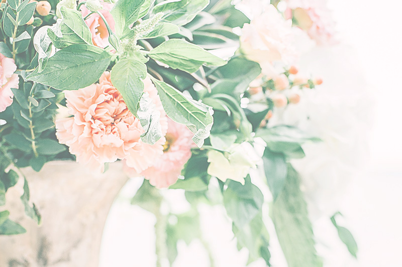 Decor + Stationery
