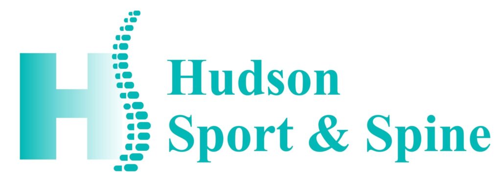 hudson sport and spine logo